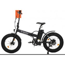 Fat-Bike 20" 250W pieghevole Bicicletta elettrica pedalata assistita