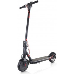 Monopattino E scooter 250W