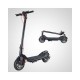 Monopattino E scooter 350W ruote 10 pollici